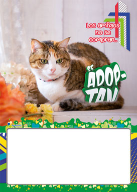 Almanaque Fauna Papel ¼ 